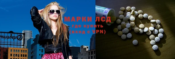 стафф Аркадак