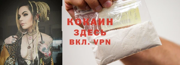 тгк Армянск
