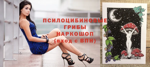 стафф Аркадак