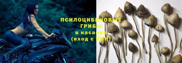 гашиш Арсеньев