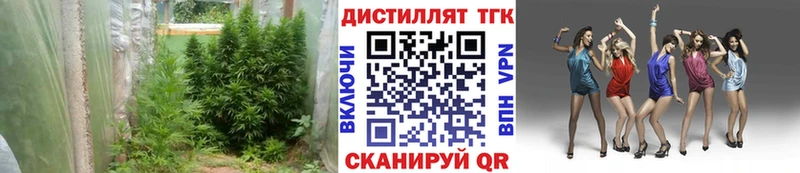 ТГК жижа  купить закладку  Татарск 